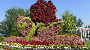 園林綠化施工與景觀設(shè)計(jì)資源全覽