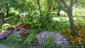 園林綠化施工 從圖紙到實景的全程指南與資源整合