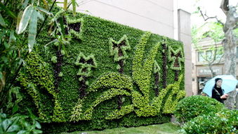 融合美學(xué)與生態(tài) 陽臺花園設(shè)計(jì)中堂假山噴霧景觀的構(gòu)建與養(yǎng)護(hù)管理