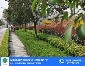 深圳馨卉園林 小區(qū)綠化帶施工與養(yǎng)護(hù)管理工程，價(jià)格優(yōu)惠，品質(zhì)卓越