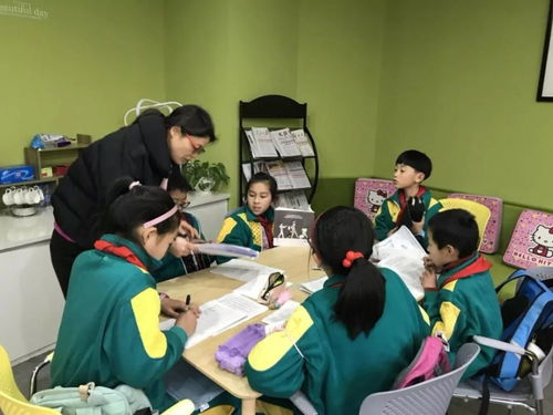 河南教育改革新信號 寒暑假或面臨調整，教師心聲待關注